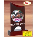 Trophée BOIS : Réf. 138-15 - 18 cm